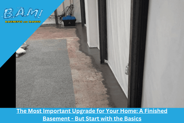 professional basement waterproofing is your first step